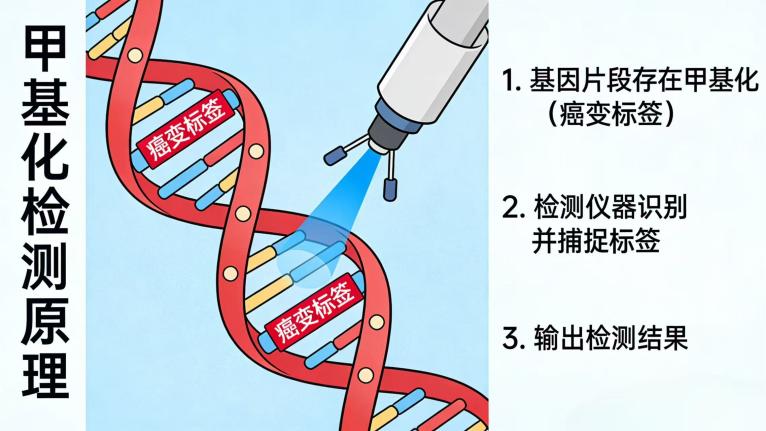 甲基化检测：妇科防癌的另一种科学手段